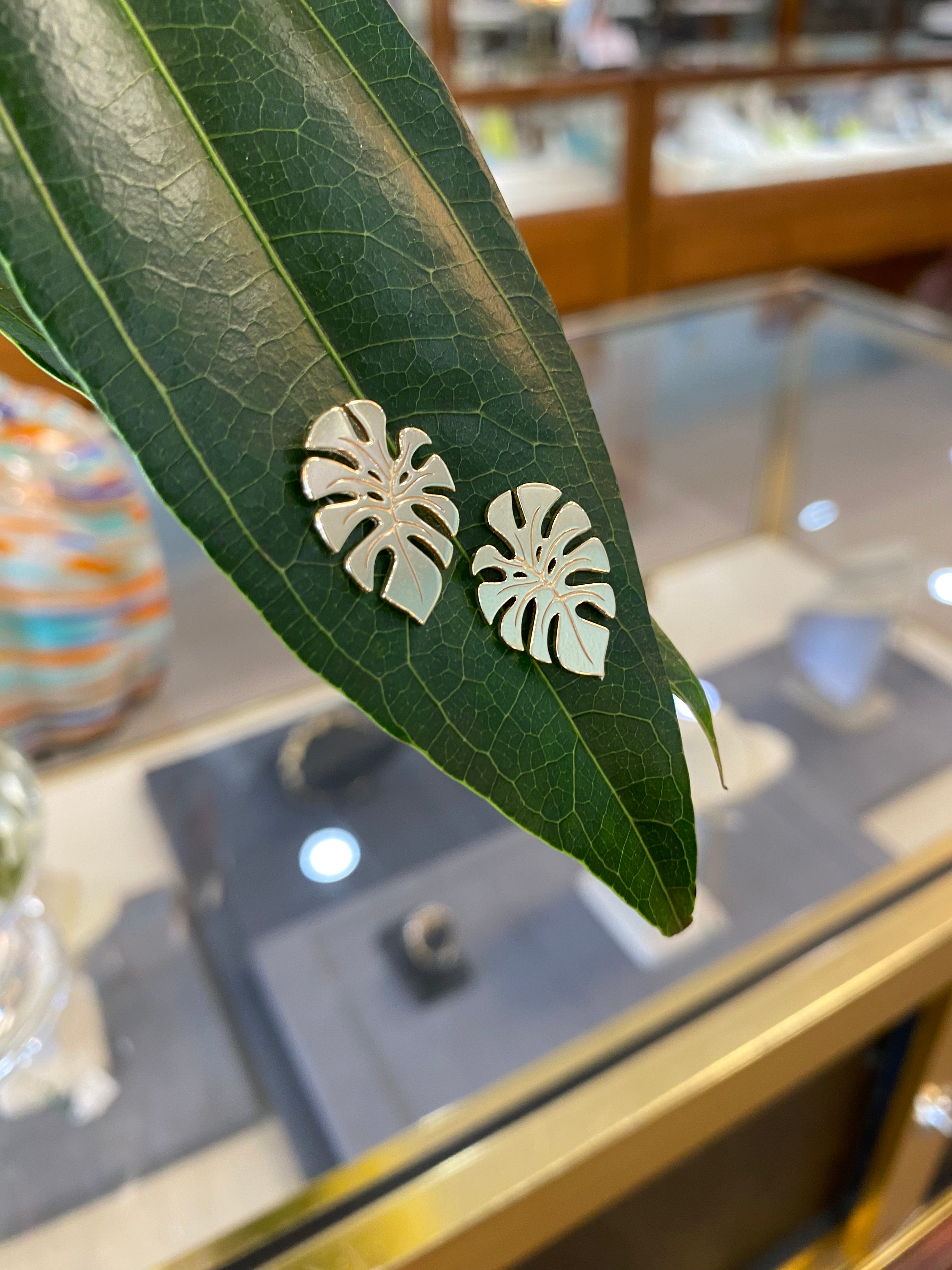 Sunlit Monstera Leaf Earrings