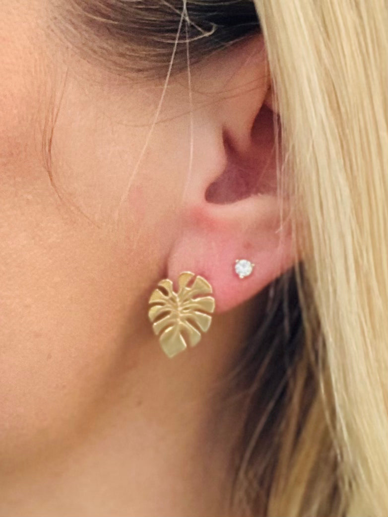 Monstera Leaf Earrings