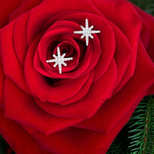 Load image into Gallery viewer, Star Diamond Studs