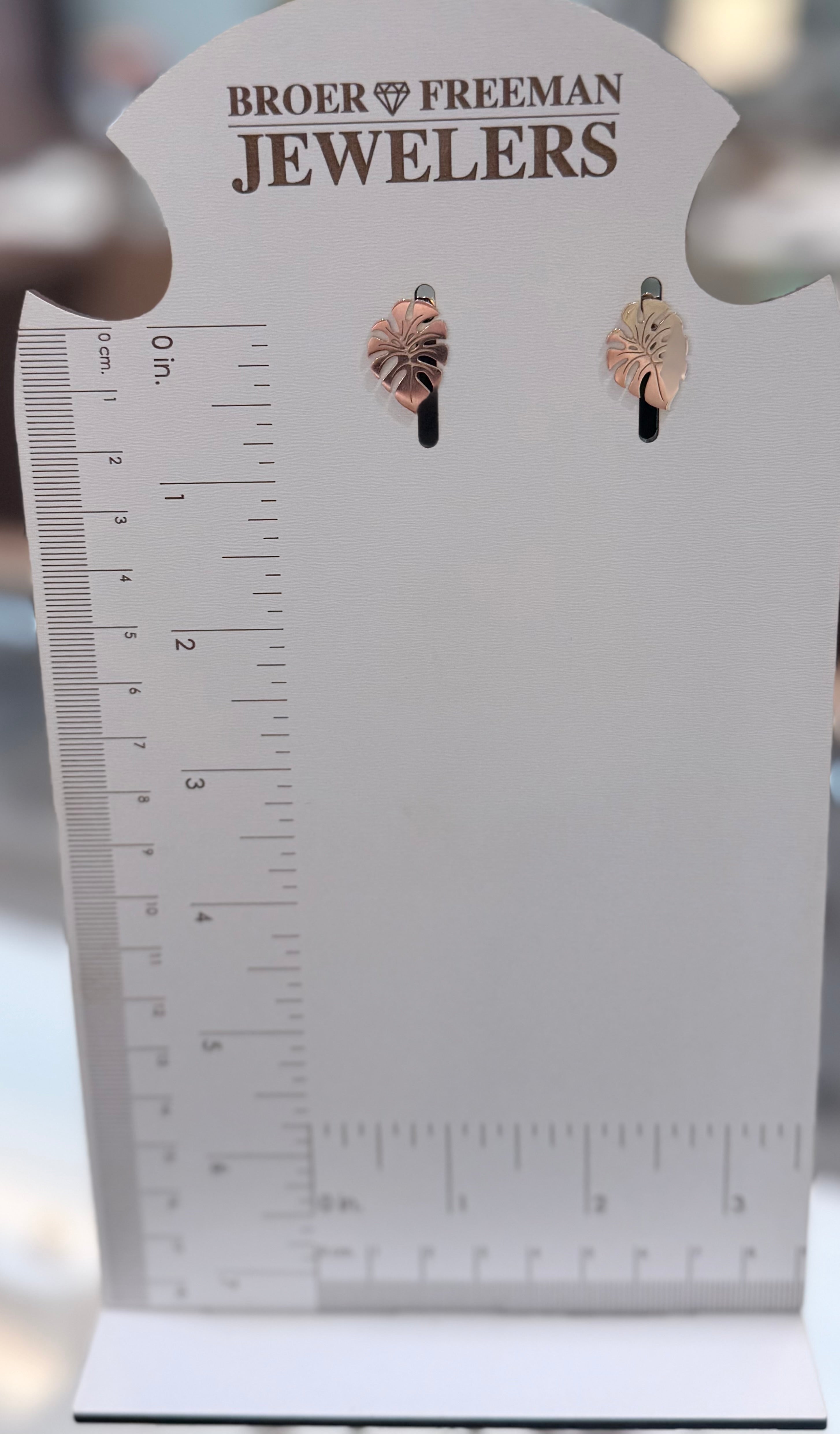 Sunlit Monstera Leaf Earrings