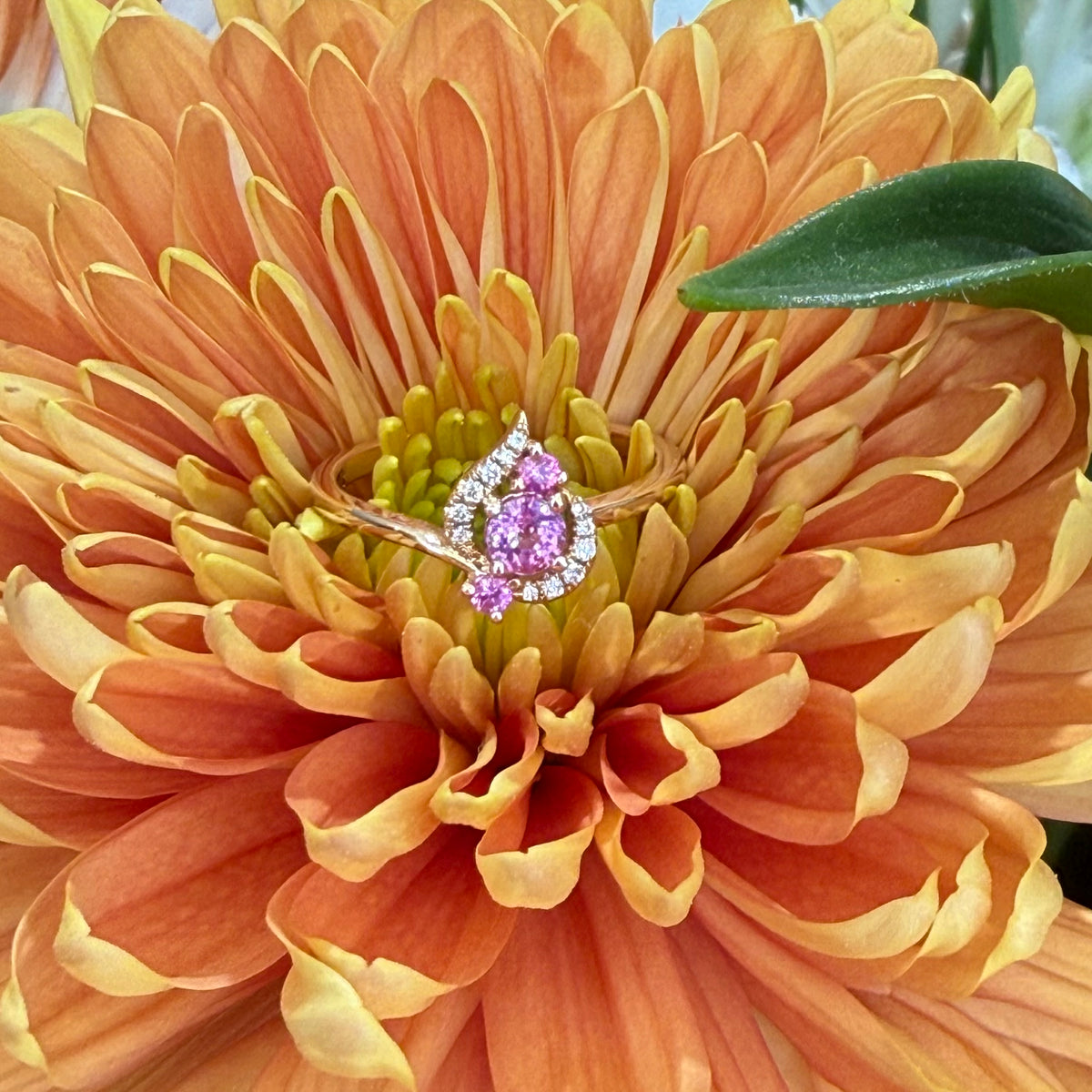 Blushing Petal Diamond Ring