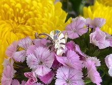 Load image into Gallery viewer, Curly Leaf Yellow Gold Ring