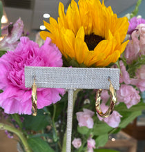 Load image into Gallery viewer, Yellow Gold Slow Twist Hoops