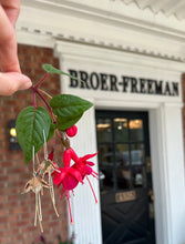 Load image into Gallery viewer, Sterling Silver Fuchsia Flower Drop Earrings