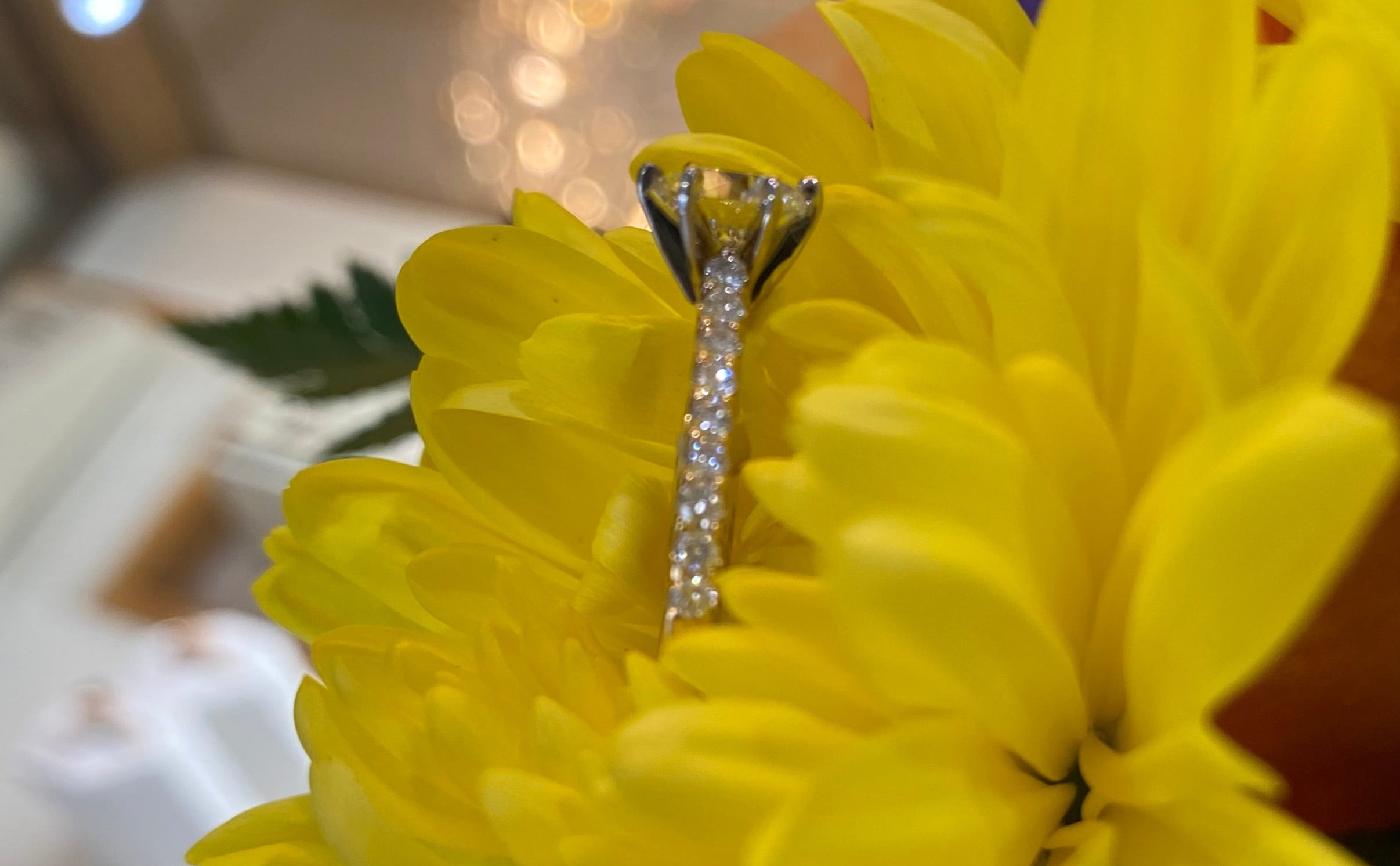 18K Two Tone Gold Round Diamond Center with Round Diamond Band Engagement Ring