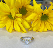 Load image into Gallery viewer, Platinum Round Diamond and Oval Band Engagment Ring