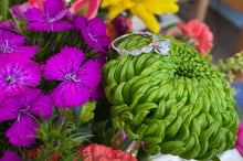 Load image into Gallery viewer, Platinum Round Diamond and Oval Band Engagment Ring