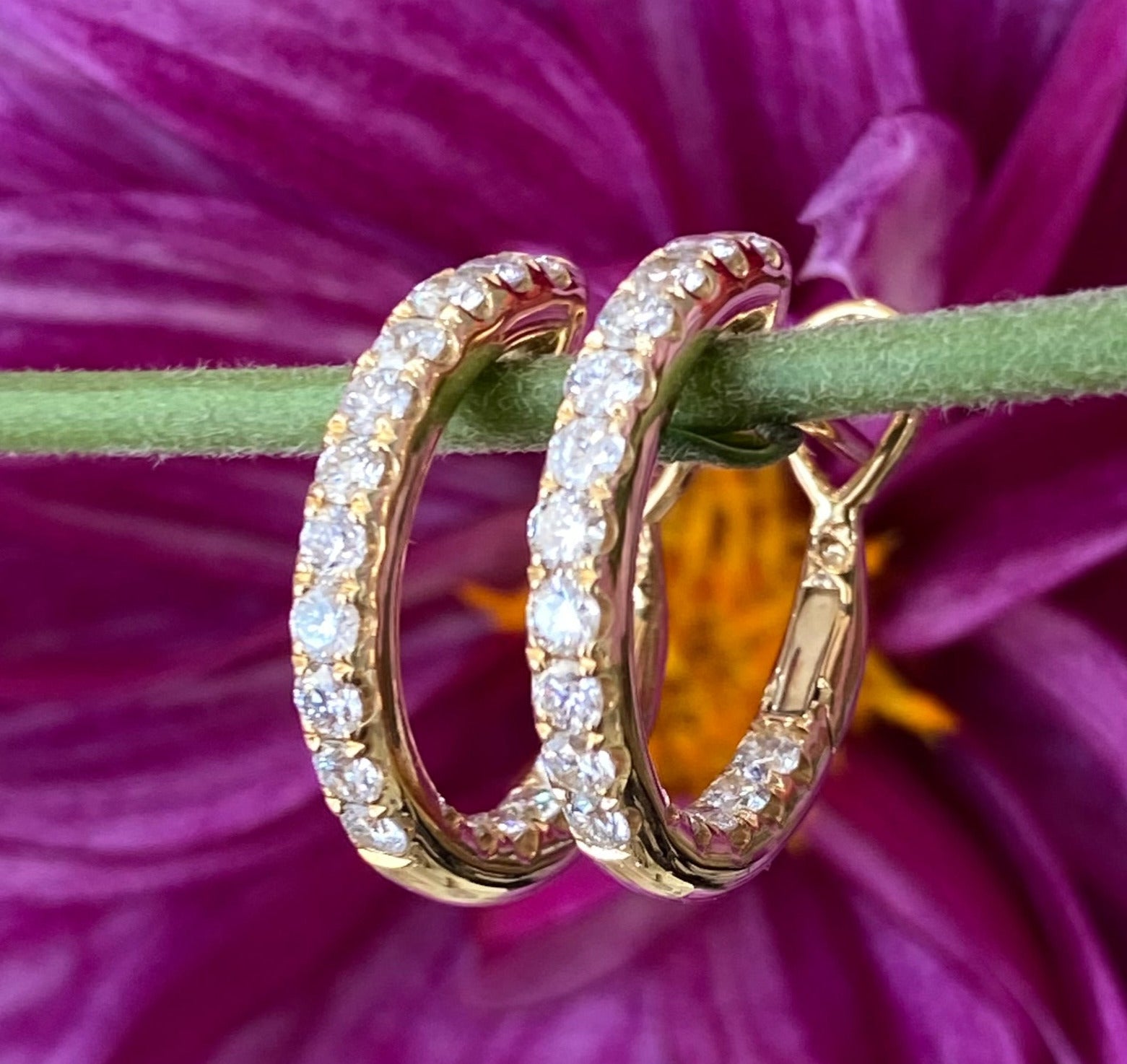 Yellow Gold & Diamond Hoop Earrings