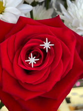 Load image into Gallery viewer, Star Diamond Studs