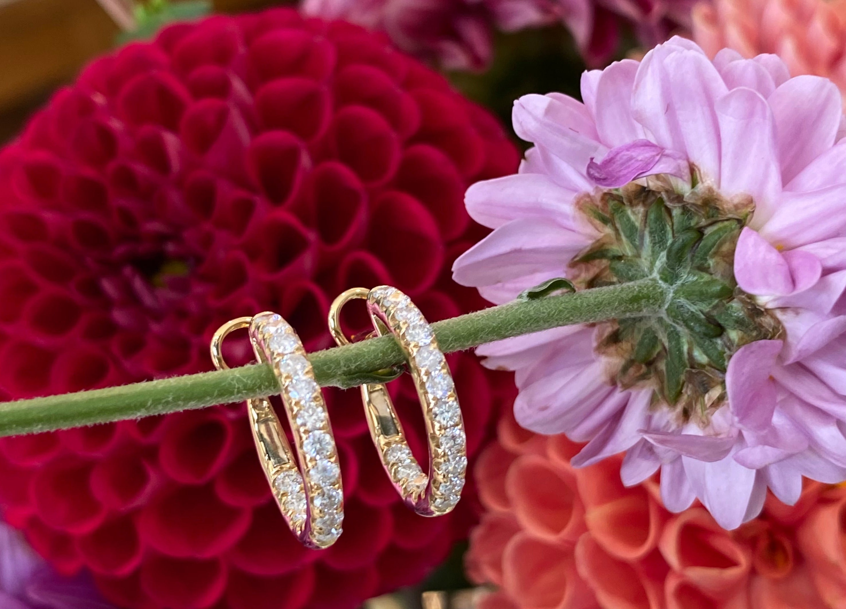Yellow Gold & Diamond Hoop Earrings
