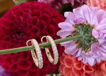 Load image into Gallery viewer, Yellow Gold & Diamond Hoop Earrings