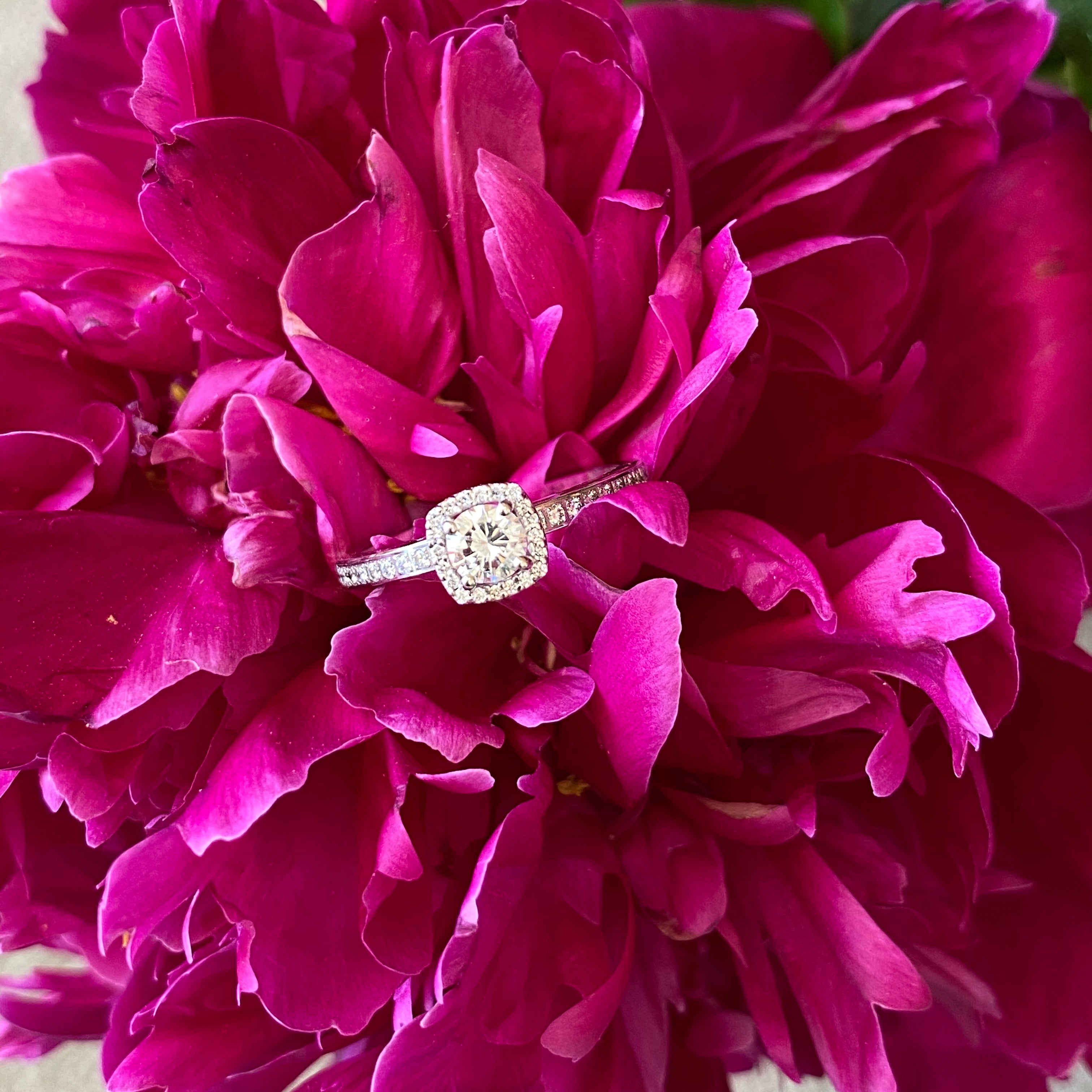 Cushion Shaped Halo Round Diamond Engagement Ring