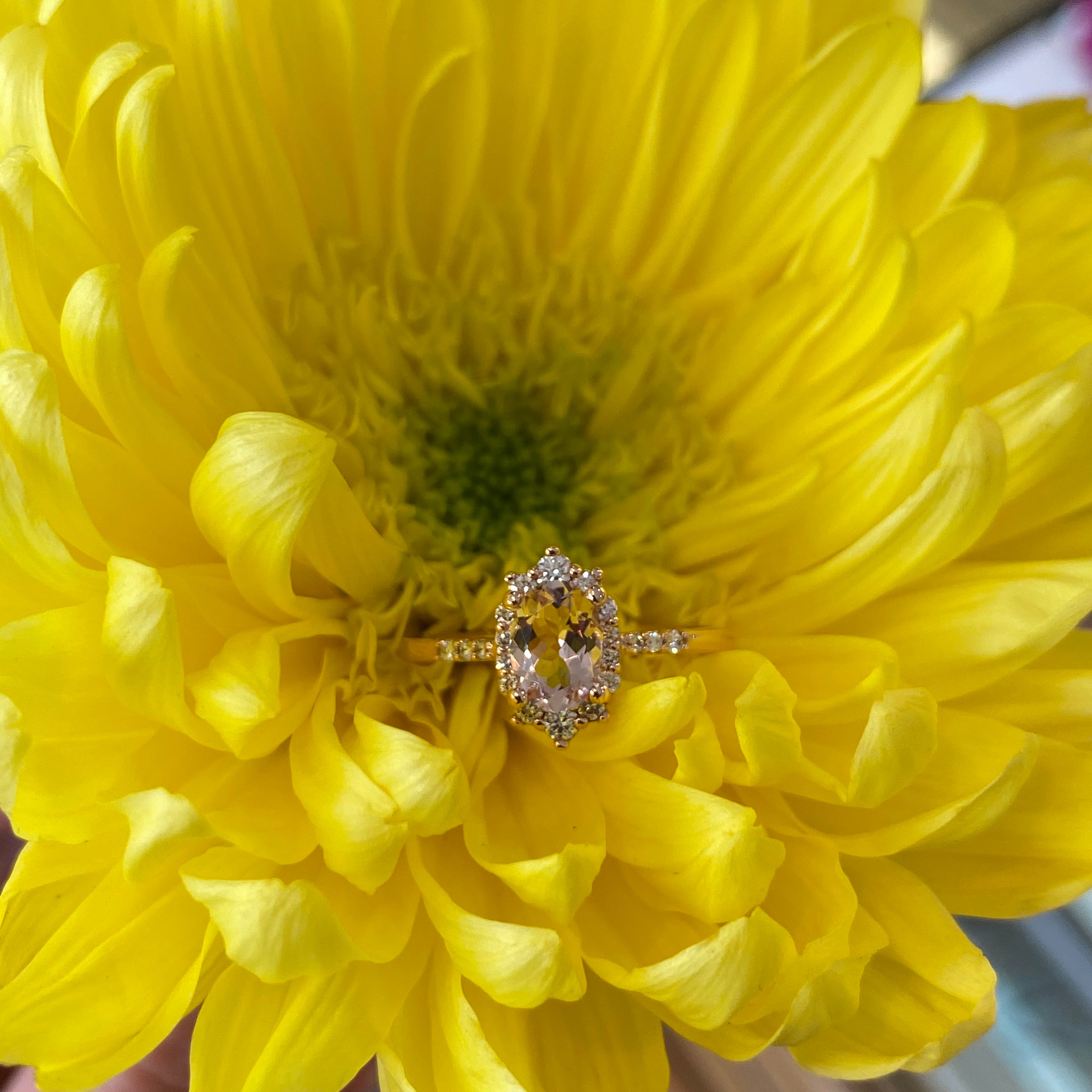 Oval Halo Morganite & Diamond Ring in Rose Gold