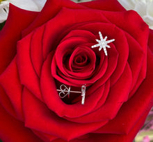 Load image into Gallery viewer, Star Diamond Studs