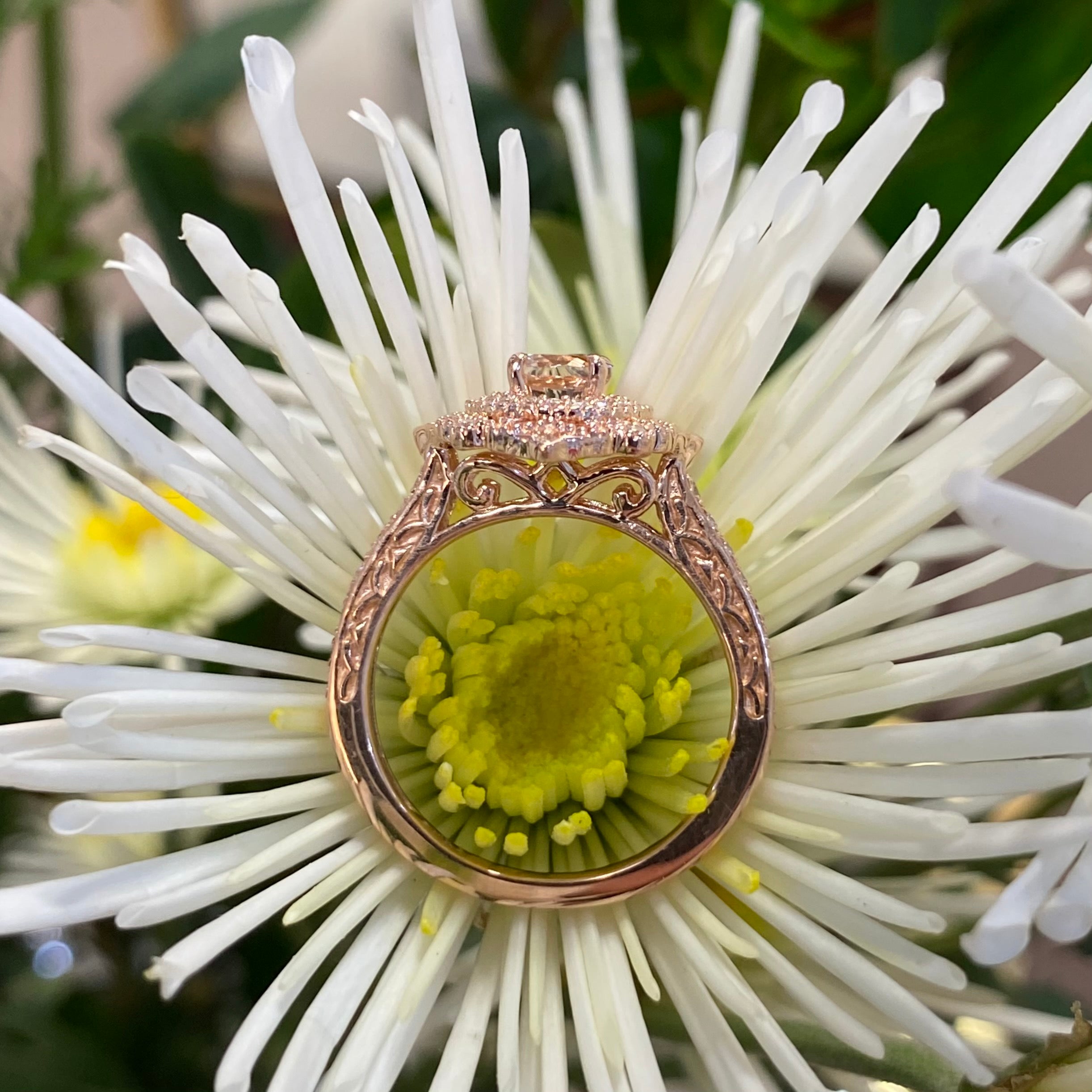 Vintage Inspired Lace Rose Gold, Morganite & Diamond Ring