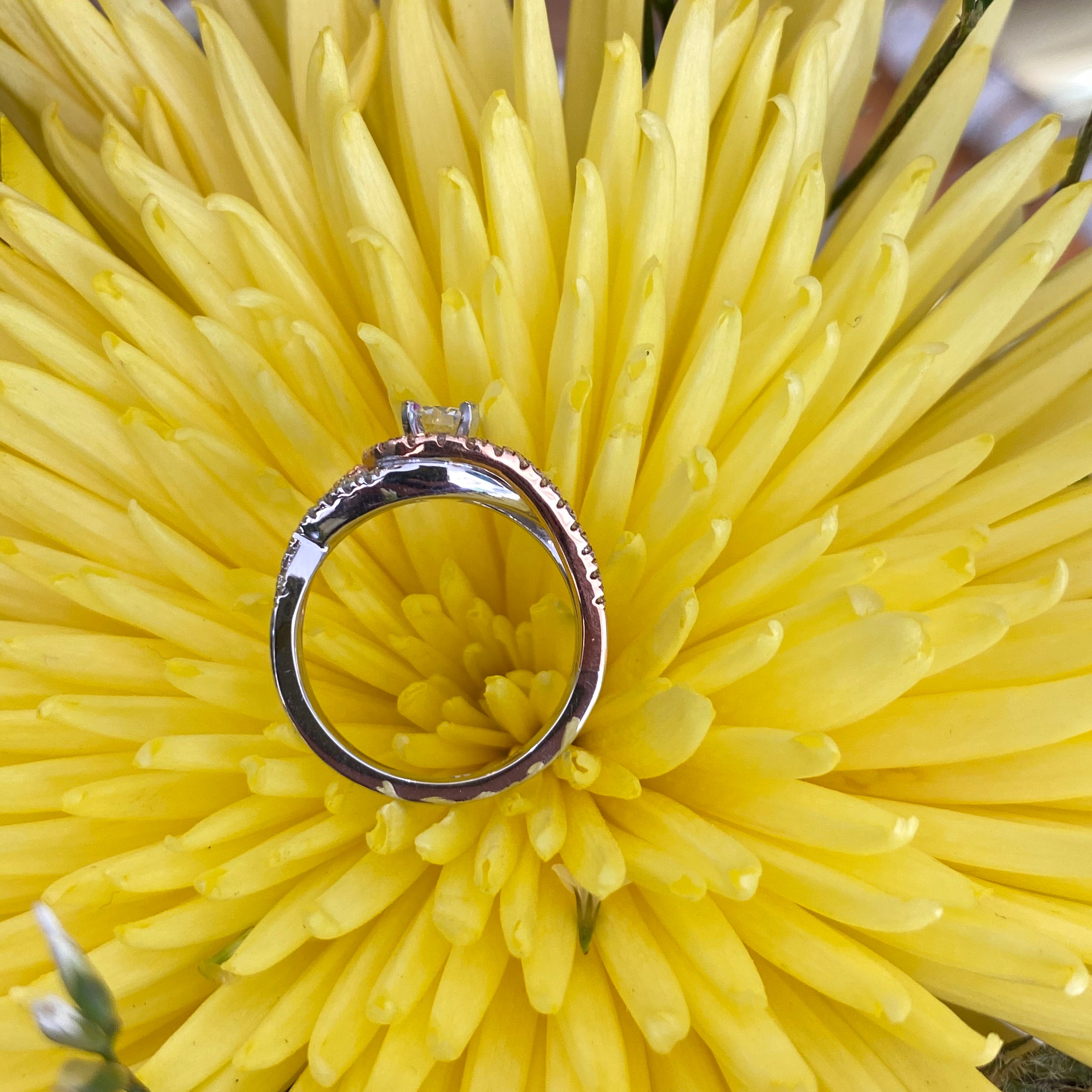 Rose & White Gold Diamond Swirl Engagement Ring