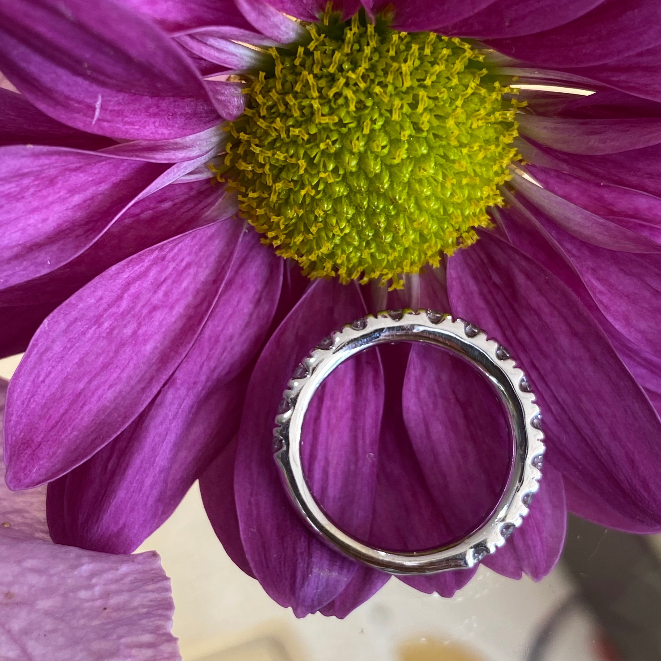 Classic Round Diamond Band