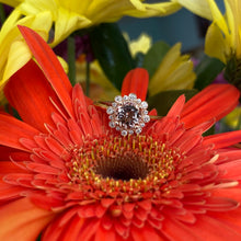 Load image into Gallery viewer, Morganite & Diamond Round Rose Gold Ring
