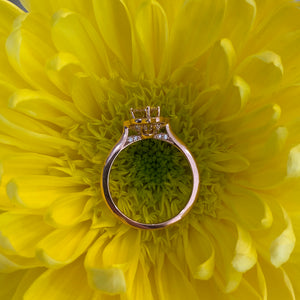 Oval Morganite Vintage Style Rose Gold Ring