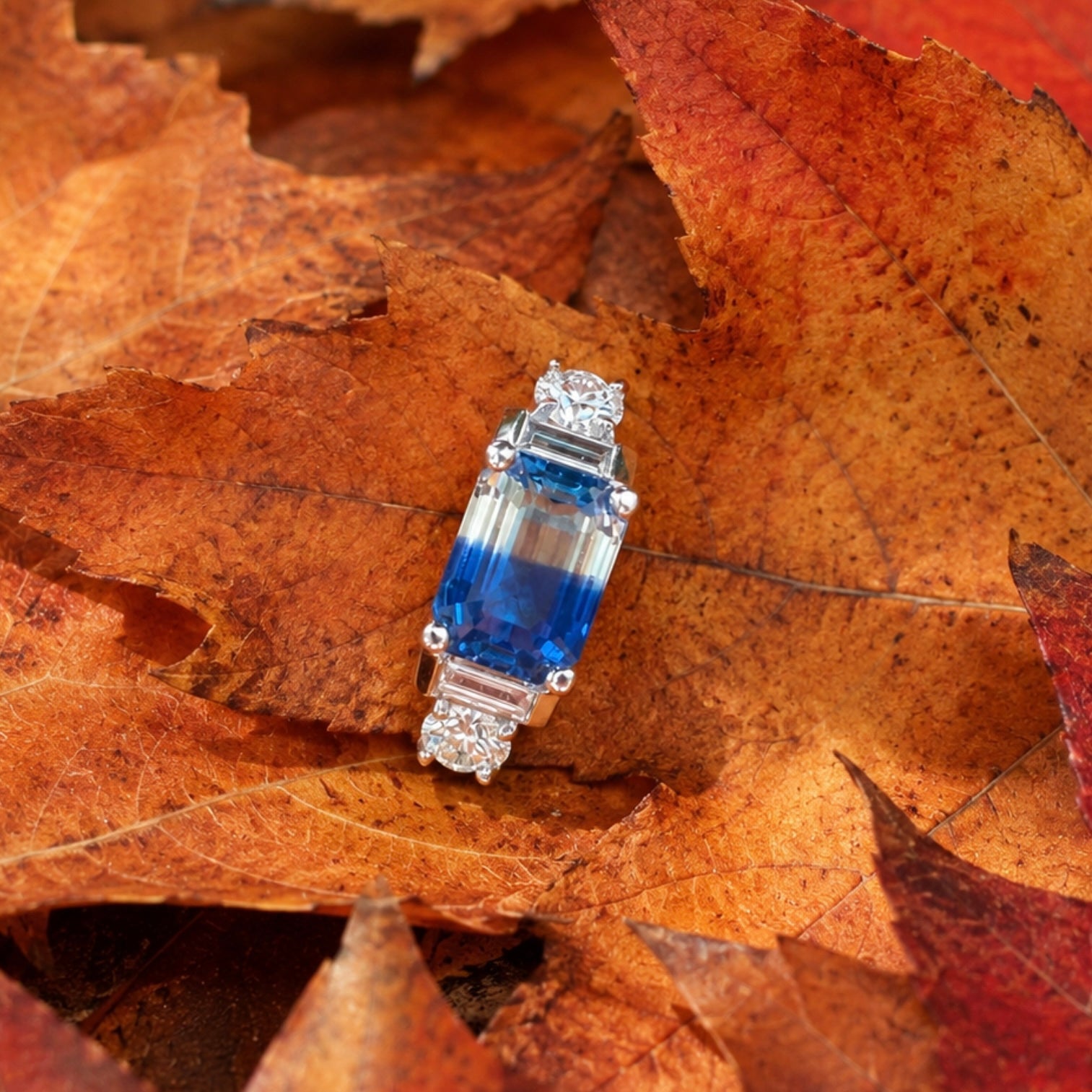 The Sapphire Horizon Ring - One of a Kind