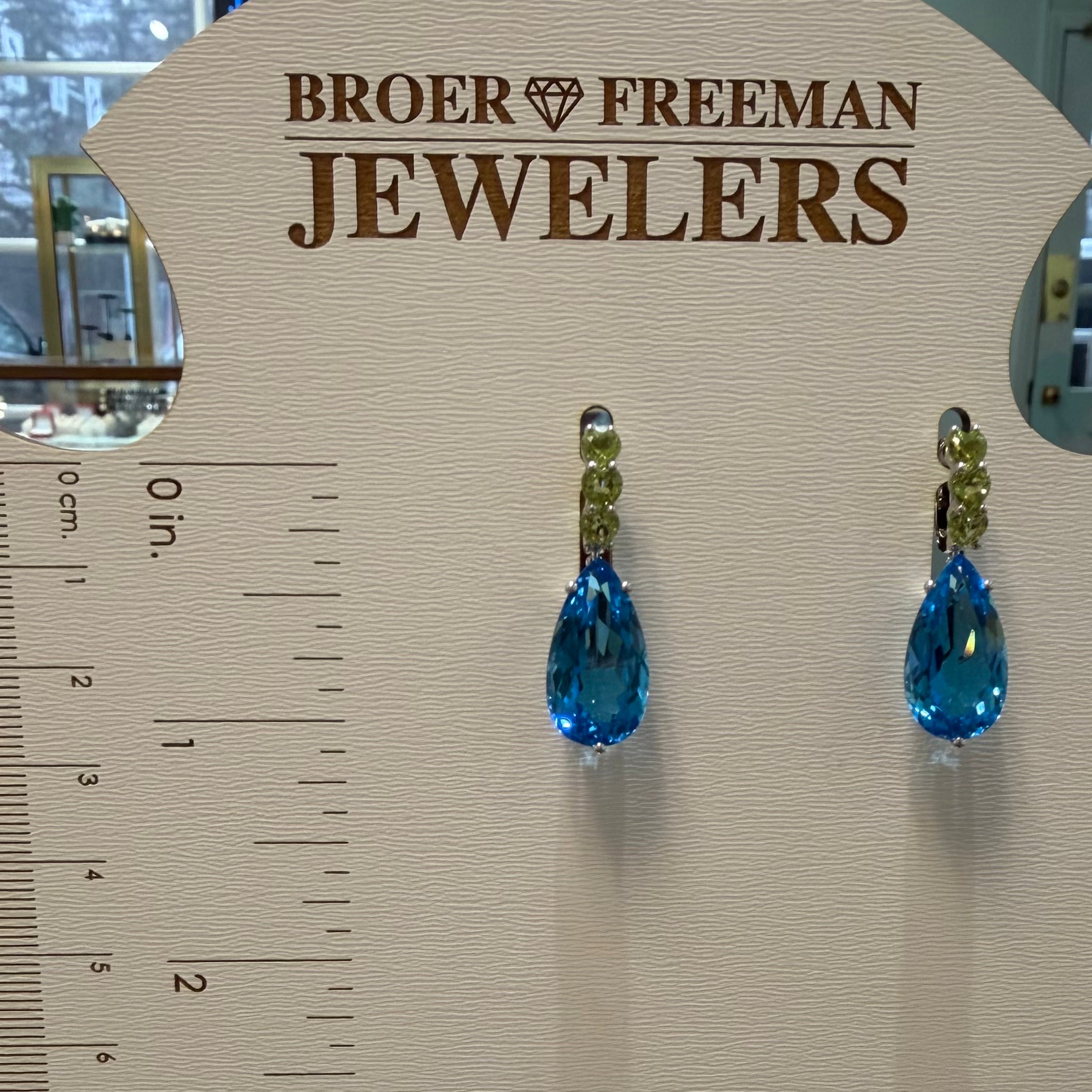 The Ocean Reef Drop Earrings