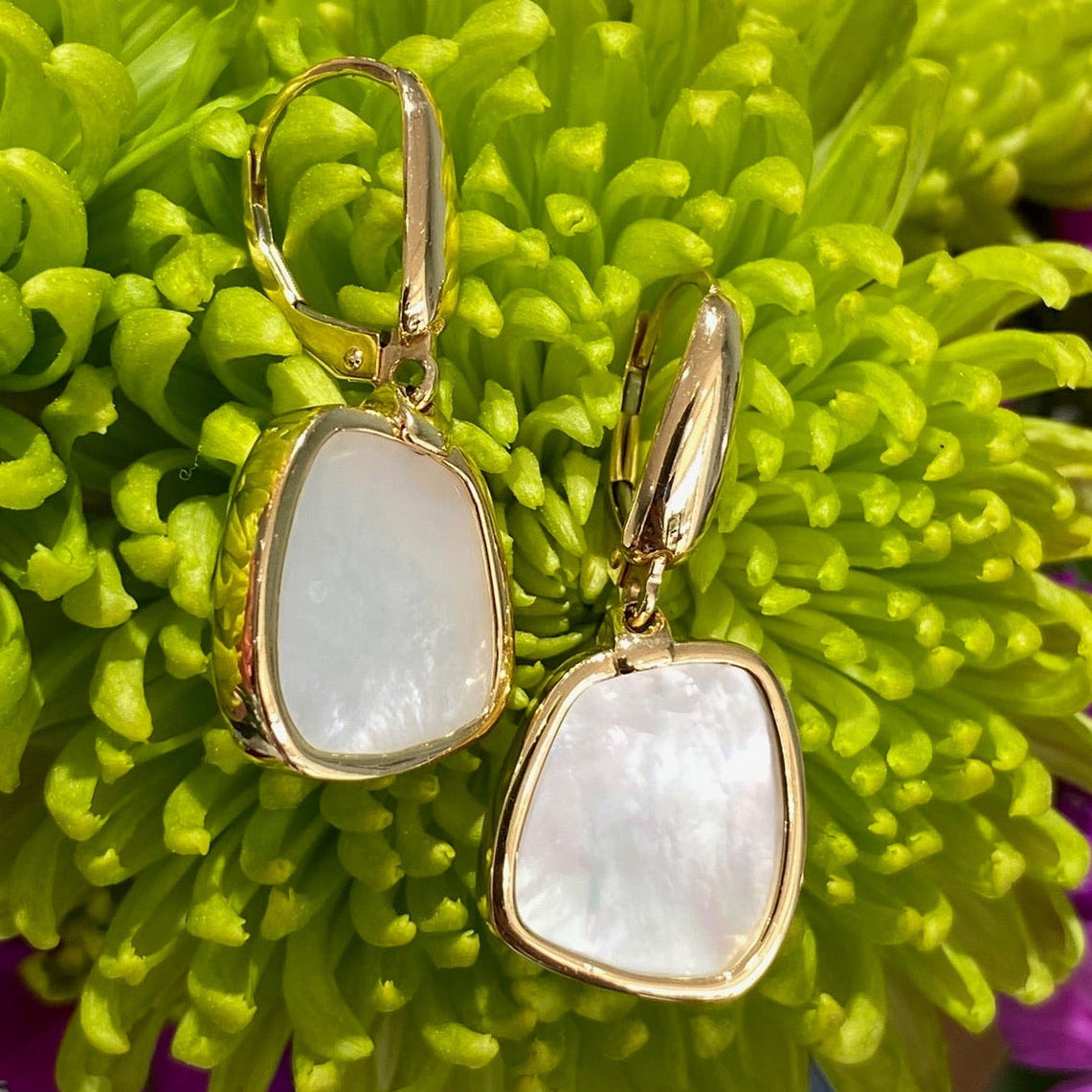 The Golden Shell Glow Drop Earrings