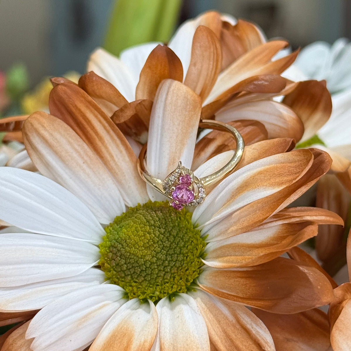 Blushing Petal Diamond Ring
