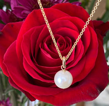 Load image into Gallery viewer, Yellow Gold Pearl Drop Pendant Necklace
