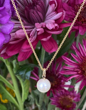 Load image into Gallery viewer, Yellow Gold Pearl Drop Pendant Necklace
