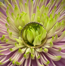 Load image into Gallery viewer, Pave Diamond and Beaded Yellow Gold Band
