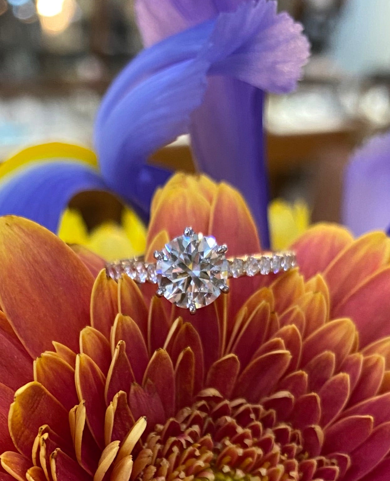 18K Two Tone Gold Round Diamond Center with Round Diamond Band Engagement Ring