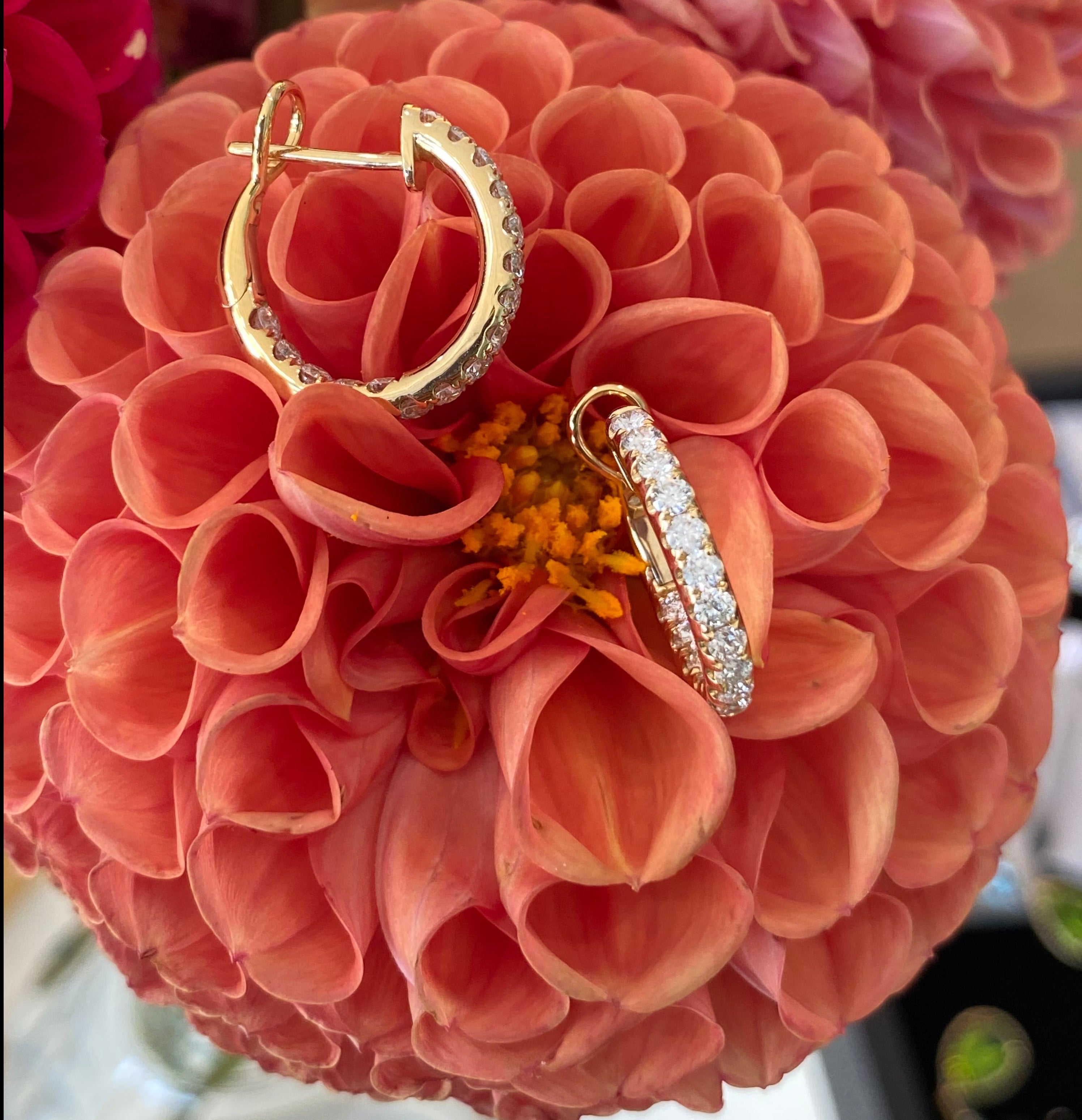Yellow Gold & Diamond Hoop Earrings