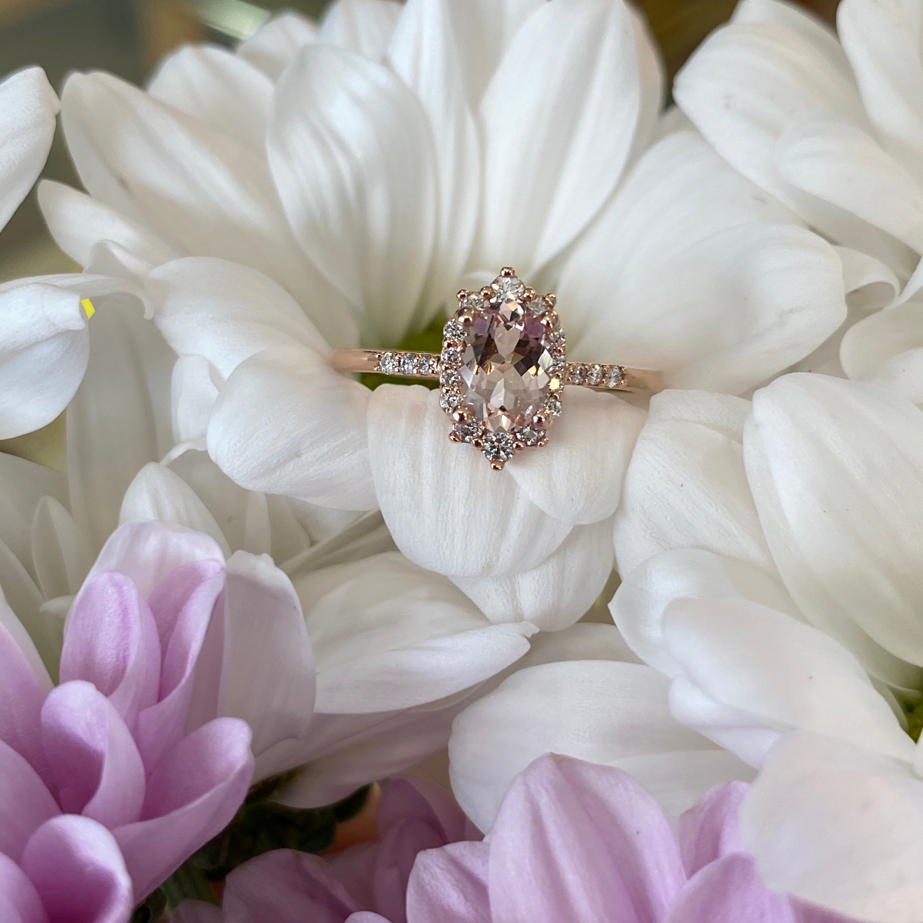 Oval Halo Morganite & Diamond Ring in Rose Gold