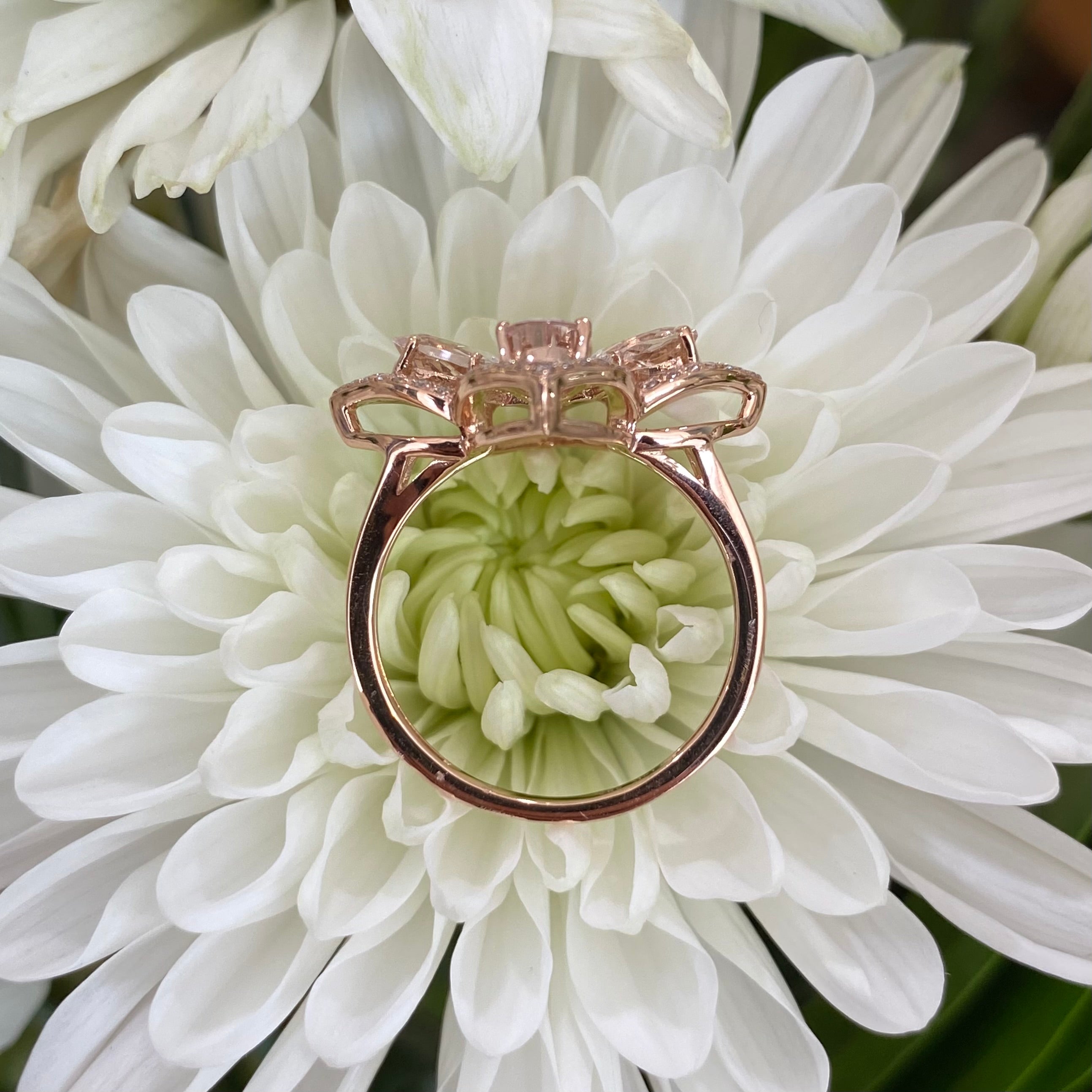 Rosé Clover Morganite and Diamond Ring
